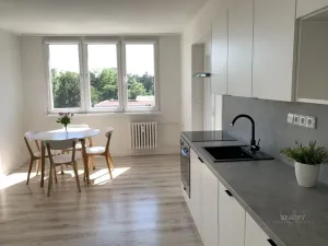 Pronájem bytu 2+kk, Mladá Boleslav - Mladá Boleslav II, Jana Palacha, 42 m2