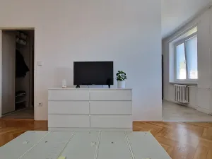 Pronájem bytu 2+kk, Brno, Trýbova, 54 m2