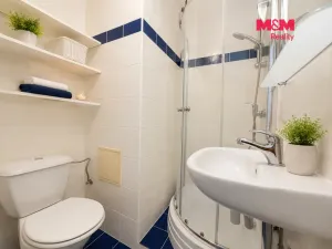 Pronájem bytu 1+1, České Budějovice - České Budějovice 1, Hradební, 18 m2