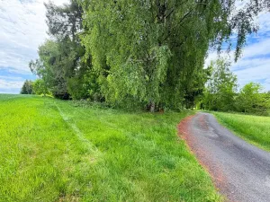 Prodej chaty, Borová, 53 m2