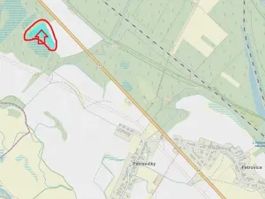 Prodej podílu lesa, Týniště nad Orlicí, 2912 m2