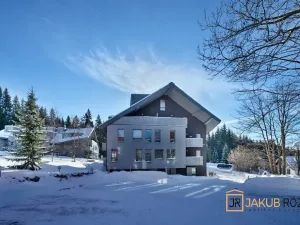 Prodej bytu 1+kk, Harrachov, 39 m2