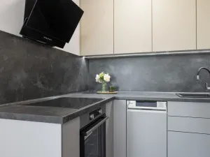 Prodej bytu 2+kk, Havířov - Podlesí, Okrajová, 39 m2