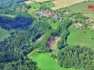 Prodej lesa, Ohnišov - Zákraví, 32996 m2