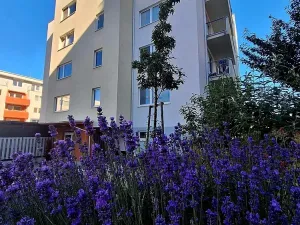 Pronájem bytu 1+kk, Brno, Přírodní, 35 m2