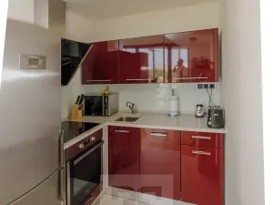 Pronájem bytu 2+kk, Praha - Žižkov, Pitterova, 63 m2