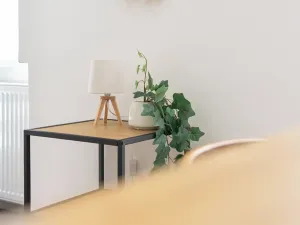 Prodej bytu 1+kk, Brno, Kotlářská, 41 m2