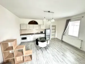 Pronájem bytu 1+kk, Frýdlant, ČSA, 40 m2