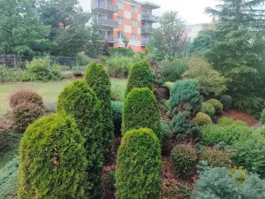 Pronájem bytu 2+kk, Plzeň, Znojemská, 66 m2