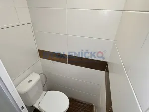 Pronájem bytu 3+1, Ledenice, Na Oborách, 76 m2