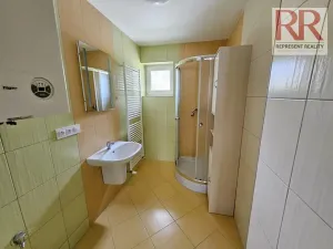 Pronájem rodinného domu, Plzeň, Mezi Ploty, 160 m2