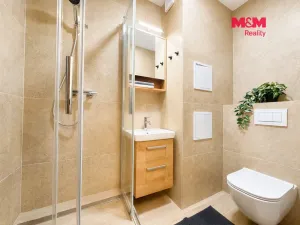 Prodej bytu 2+1, Postoloprty, Draguš, 53 m2