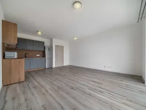 Pronájem bytu 2+kk, Plzeň, Srncová, 58 m2
