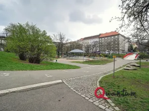 Pronájem bytu 1+1, Praha - Vinohrady, Fričova, 46 m2