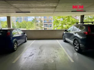 Pronájem garážového stání, Pardubice - Zelené Předměstí, 13 m2