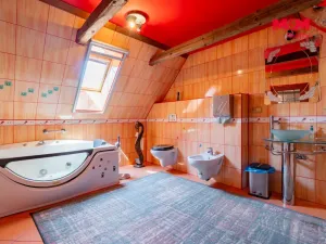 Prodej rodinného domu, Nová Ves nad Lužnicí, 829 m2