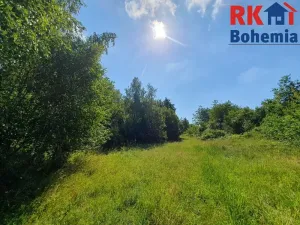 Prodej pozemku, Pertoltice pod Ralskem, 49299 m2