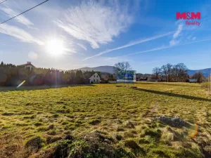 Prodej komerčního pozemku, Frýdlant nad Ostravicí, 4608 m2