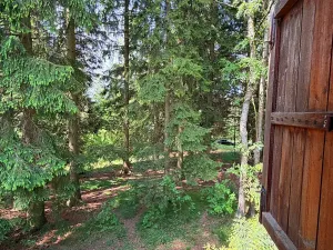 Prodej chaty, Borová, 53 m2
