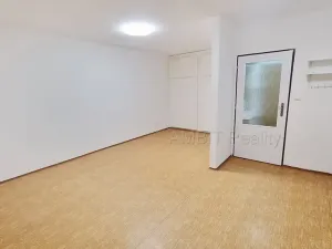 Pronájem bytu 1+kk, Praha - Hloubětín, Šestajovická, 30 m2