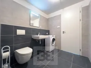 Pronájem bytu 1+kk, Praha - Čimice, Hrašeho, 46 m2