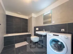 Pronájem bytu 1+kk, Praha - Čimice, Hrašeho, 46 m2