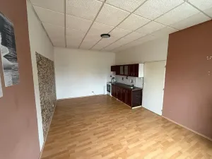Prodej bytu 2+kk, Plzeň, Rokycanská, 40 m2