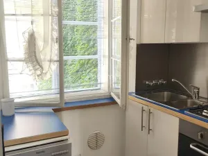 Pronájem bytu 2+1, Praha - Malá Strana, Sněmovní, 85 m2