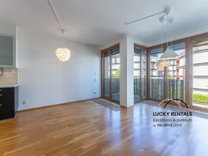 Pronájem bytu 3+kk, Praha - Žižkov, Olgy Havlové, 76 m2