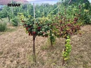 Prodej rodinného domu, Skoronice, 95 m2