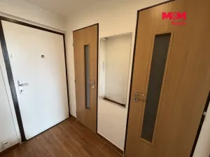Pronájem bytu 1+kk, Ostrava - Moravská Ostrava, Hornopolní, 28 m2