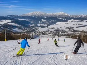 Prodej chalupy, Mezilečí, 163 m2