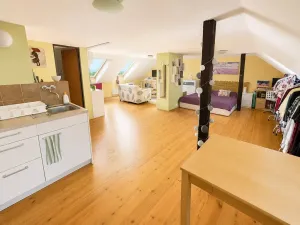 Pronájem bytu 1+kk, Brno, Potácelova, 64 m2