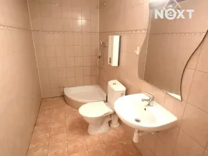 Prodej chalupy, Velenice, 370 m2