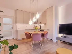 Pronájem bytu 2+kk, Brno, Hoblíkova, 62 m2