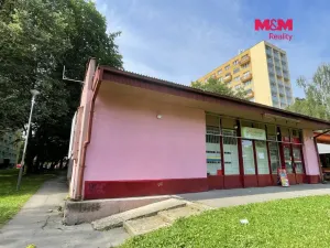 Pronájem obchodního prostoru, Ostrava, Vietnamská, 166 m2