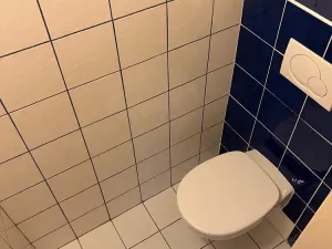 Pronájem bytu 2+kk, Praha - Smíchov, Holečkova, 45 m2