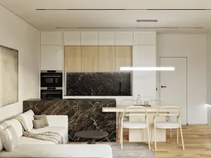 Prodej bytu 2+kk, Opava, Husova, 60 m2