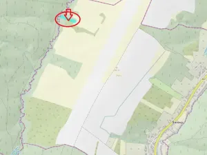 Prodej podílu lesa, Šarovy, 2437 m2
