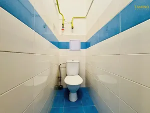 Pronájem bytu 2+1, Pardubice, náměstí Čs. legií, 70 m2