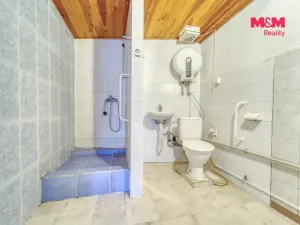 Prodej komerčního pozemku, Vráž, 16101 m2