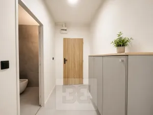 Pronájem bytu 2+kk, Brno, třída Generála Píky, 50 m2