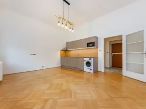 Pronájem bytu 1+kk, Praha - Karlín, Vítkova, 29 m2