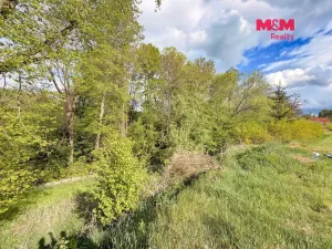 Prodej pozemku pro bydlení, Milešov, 2790 m2
