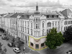 Prodej obchodního prostoru, Olomouc, Resslova, 77 m2