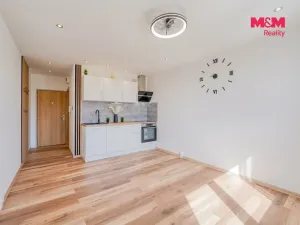 Prodej bytu 1+kk, Horní Bříza, U Vrbky, 22 m2