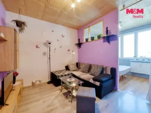 Prodej bytu 1+1, Třemošná, Sídliště, 40 m2