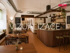 Pronájem obchodního prostoru, Skuteč, Vítězslava Nováka, 72 m2