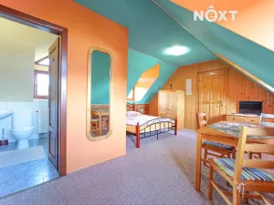 Prodej ubytování, Horní Planá, 270 m2