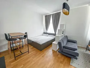 Pronájem bytu 1+kk, Praha - Vinohrady, Rubešova, 31 m2